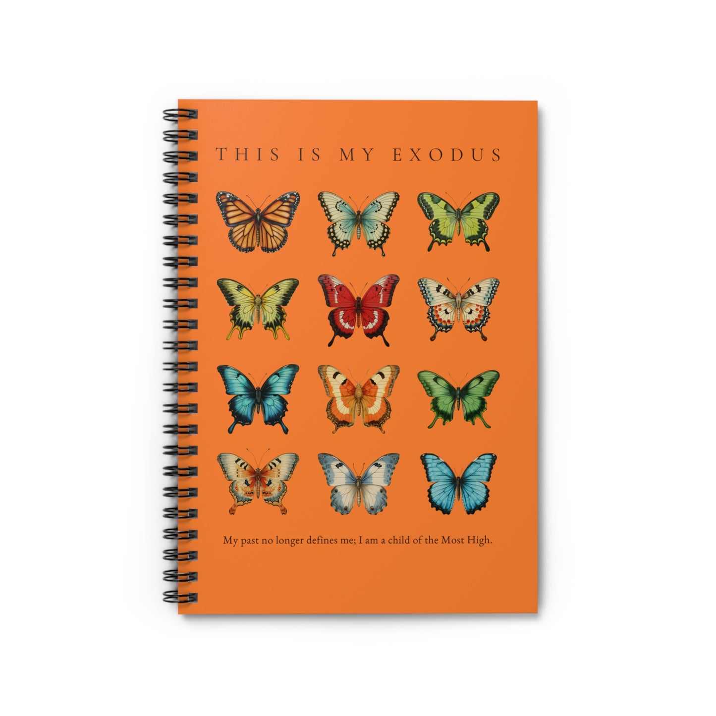 My Exodus Journal