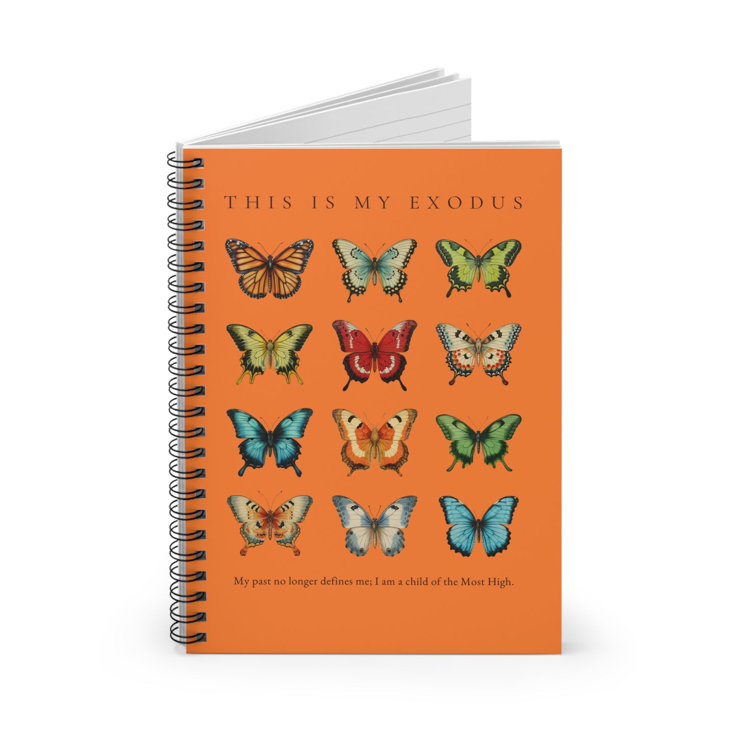 My Exodus Journal