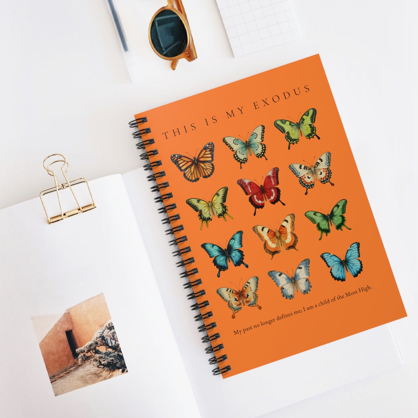 My Exodus Journal