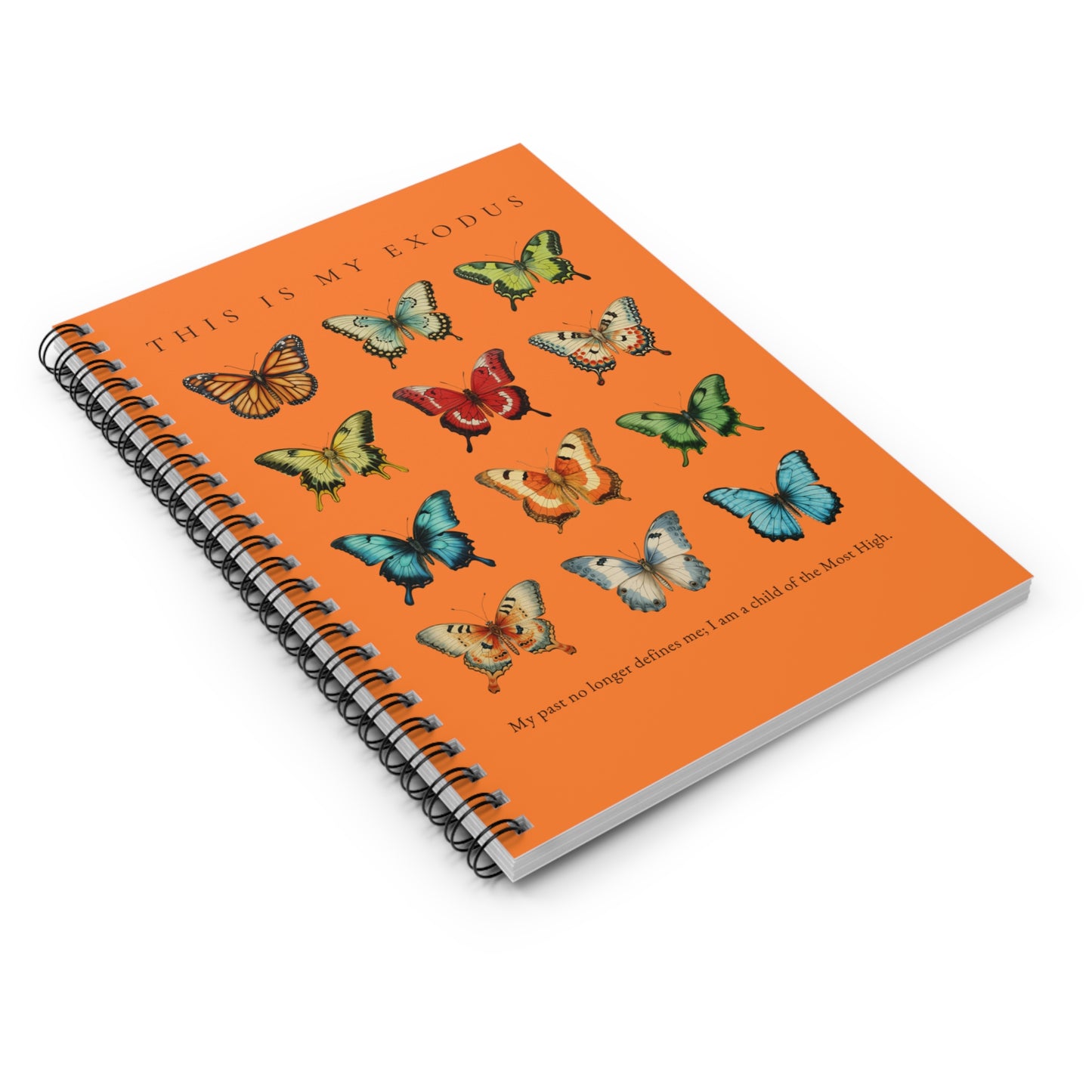 My Exodus Journal